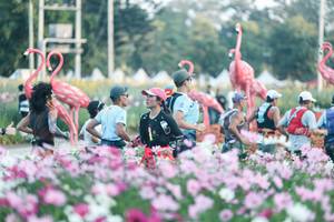 BIB: 
                            <button type="button" onclick="openModal(27344085)" class="btn btn-primary btn-sm float-right btn-popup" data-toggle="modal" data-target=".modal-high-quality">
                        <i class="fas fa-shopping-cart"></i> Add to Cart
                    </button>
                                            <button type="button" onclick="isThisMe(27344085, true)" class="btn btn-success btn-sm float-right btn-popup btn-isme hidden" data-toggle="tooltip" data-placement="bottom" title="นี่คือรูปของคุณใช่ไหม คลิกที่นี่เพื่อเอาเข้าอัลบั้ม">
                        <i class="fas fa-plus"></i> Add to album
                    </button>
                    <button type="button" onclick="isThisMe(27344085, false)" class="btn btn-warning btn-sm float-right btn-popup btn-isnotme hidden">
                        <i class="fas fa-ban"></i> Remove from album
                    </button>